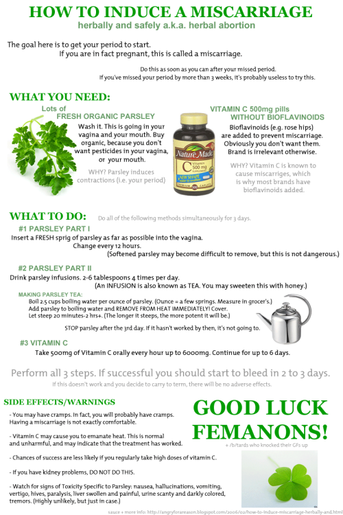 suzy-x:  scumblebee:  unobject:  OKAY WAIT BEFORE YOU GO FOR THIS!- someone who knows more than me about this- does this method work? My only experience is with Queen anne’s lace- but this looks more accessible and easier to prepare/obtain. I’ve heard
