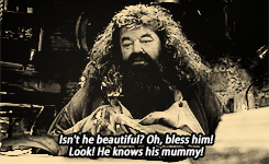  the magic begins » A character you’d like to see more of on your dashboard There’s no Hogwarts without you, Hagrid. 