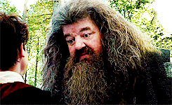  the magic begins » A character you’d like to see more of on your dashboard There’s