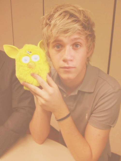 quase-heroi:  Top favorite photos of Niall Horan (2/50)