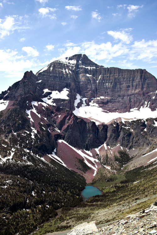 Porn metrodorus:  Mt James  photos