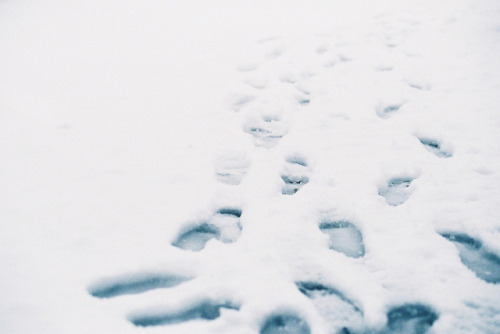 hislolita:30/366 by tane_aki on Flickr.