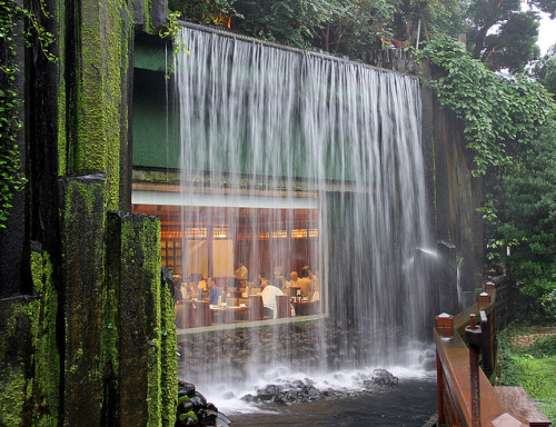 Dining under a waterfall in a lovely tropical garden, Chi Lin Nunnery, Hong Kong (by Christian Junke
