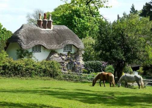 whitedogblog:Beehive Cottage, Swan Green, Lyndhurst, England