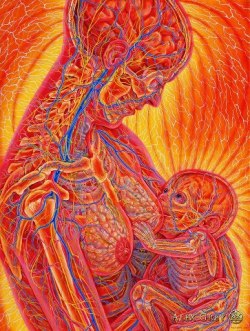 blessedfbodies:  Artist:  Alex Grey