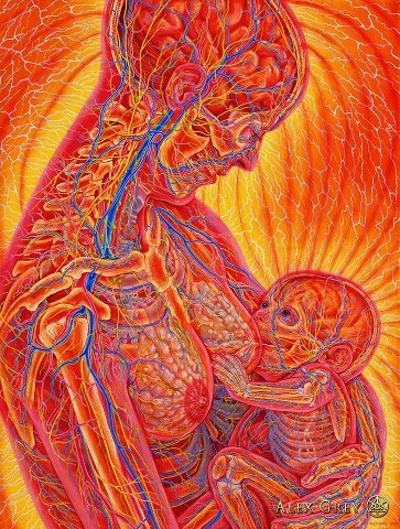 XXX blessedfbodies:  Artist:  Alex Grey photo