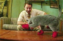 aubsticle:  tom—hanks:  this is my favorite thing in the word!!  