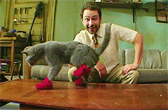 aubsticle:  tom—hanks:  this is my favorite thing in the word!!  
