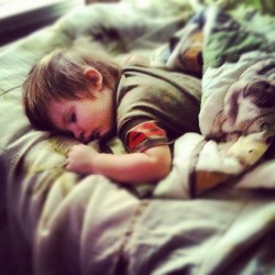 When this boy sleeps he sleeps haha (Taken