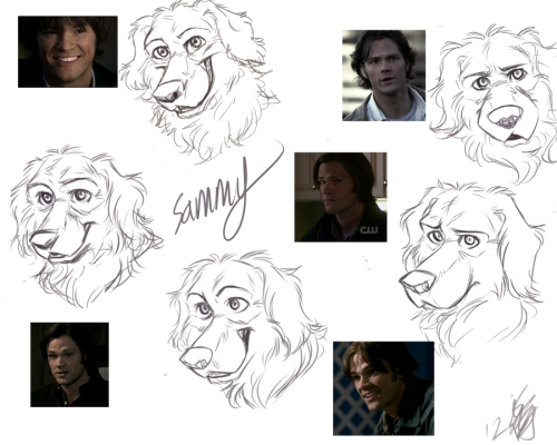 Tried doing some Caninatural expressions with mr. Padalily as the subject~  practice for practi