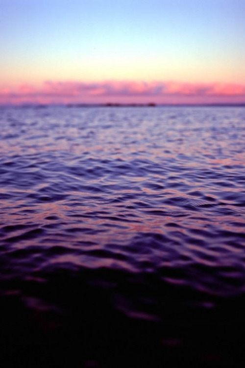 XXX metrodorus:  seascape  photo