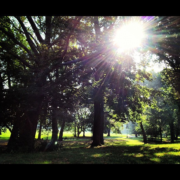 Peeking in the park #prospectpark #brooklyn #nyc #summer #morning (Taken with Instagram at Prospect Park)