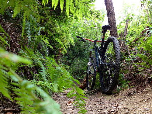 overthehillmtb: Where I would rather be.