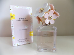 evoleur:  daisy! 