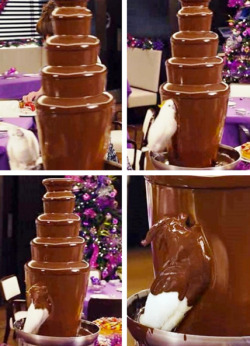 coconut-desires:  maddyro-se:  i am actually laughing so hard omg  HAHAHAHAHAHA OMG ITS A BIRD  