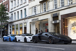 Affluence-De-La-Vie:  Generations. By Alex Penfold 