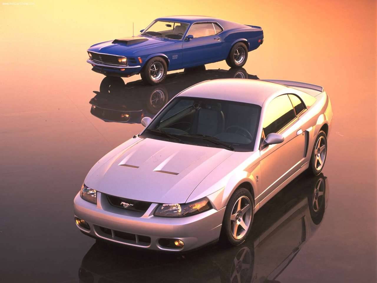 Ford Mustangs
