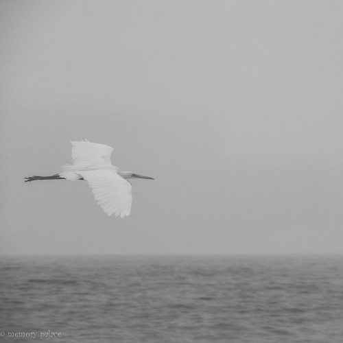 ~graceful~