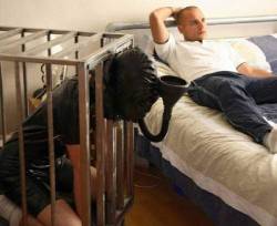 rubberscally:  faggland:  They started as boyfriends, but they each realized that wouldn’t work, so Paul now spends every night in a cage beside the bed instead of in the bed  It’s been around for ages, but this is still one of my favorite pics ever!