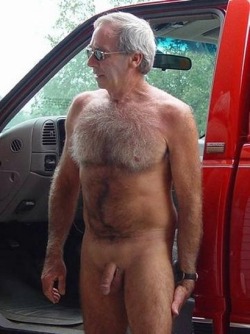 curvature67:  I love gray chest hair!