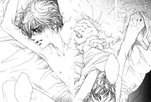 Fujoshi, Fangirl and Author: