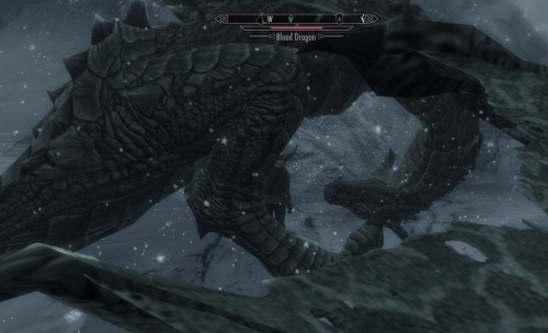 freefracornerofsillyness:  slunchy:  I refuse to kill another dragon for as long as I play Skyrim I was fighting this Blood Dragon when, in the middle of the fight, he just lands and stops fighting back. No matter how many times I shot him he wouldn’t