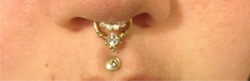 omegarediowa:  Septum jewelry, front piece