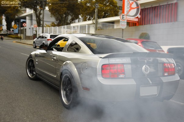 Ford Mustangs