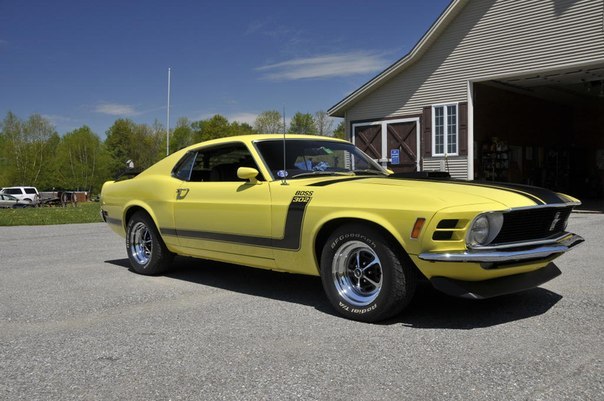 Ford Mustangs