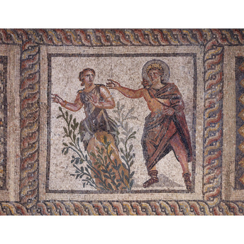 centuriespast: Mosaic pavement: Apollo and Daphnelate 3rd century A.D.Roman  The Princeton Univ
