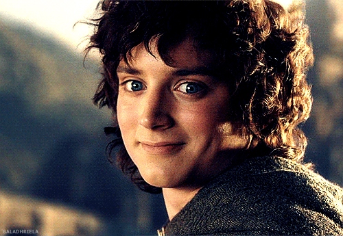  The Lord of the Rings: the Return of the King - Frodo’s farewell smile 