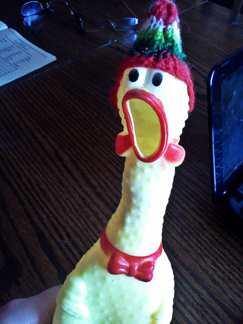 holasoyundinosaudio:  Mi mamá le hizo un gorrito a Roberto :3 y lo quería compartir con tumblr >< 