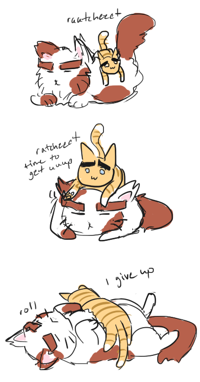 catbeard:  The struggles of rungcat 