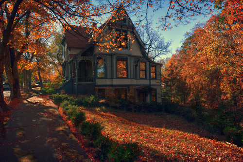 ciinamonsugar:blog dedicated the the amazing season of autumn