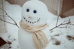 snowandcoco:  winter/seasonal blog :)