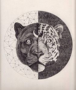 Wgsn:  Beautiful Mystic Big Cat Illustration, This On A Tee Please! 
