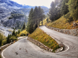 velogogo:  Passo dello Stelvio (by Rock’n’Rollin