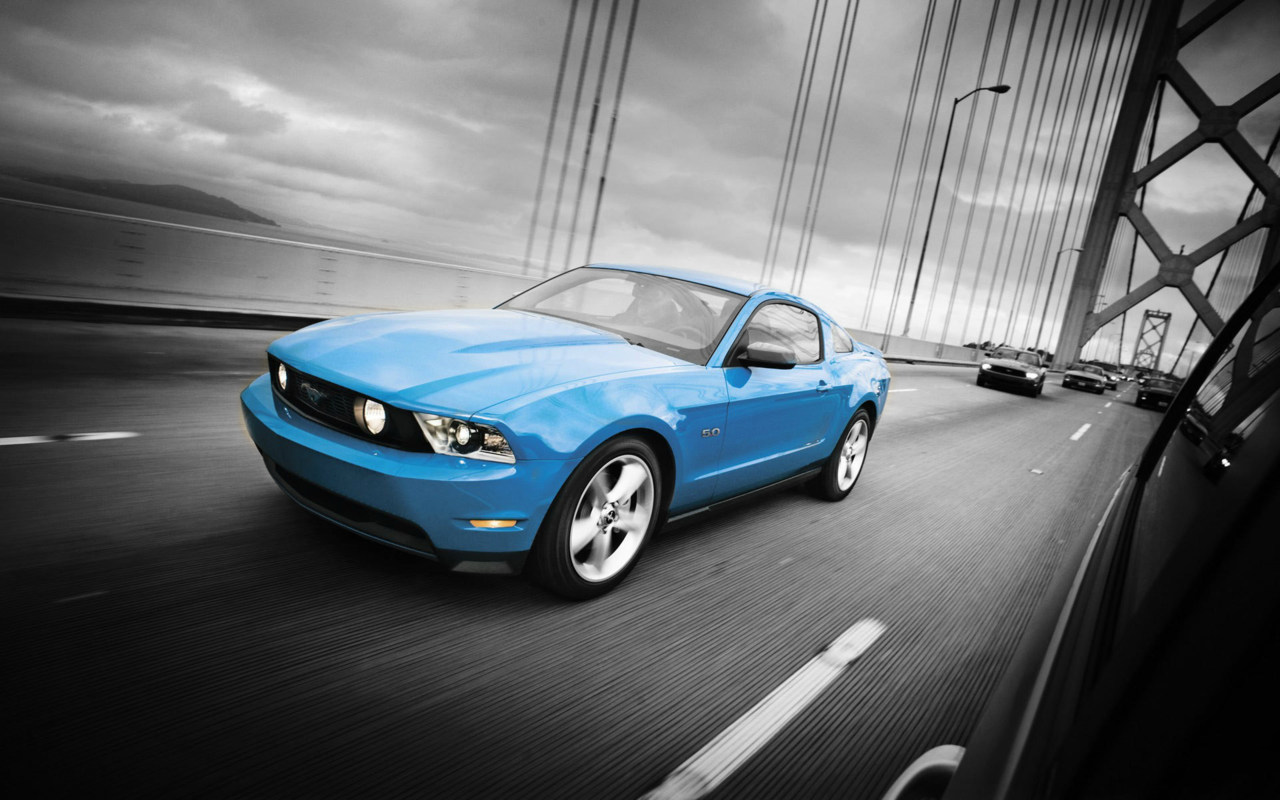Ford Mustangs