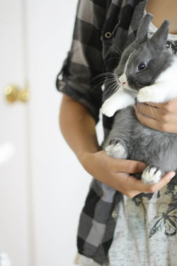 theanimalblog:  Meet Sesame.  Shot by verslibre