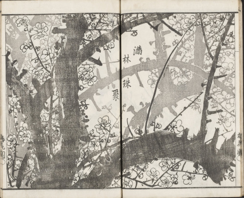 Okada Baikan (Japanese; 1773–1849)&ldquo;Full forest, gathered jewels&rdquo;In: Baika jō = The Plum 