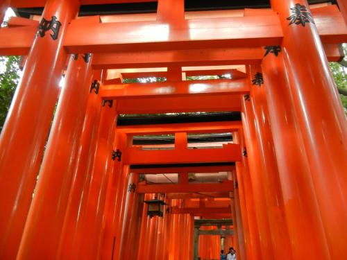 Some photos I took at the Inari Shrine in Kyoto!