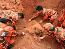 castielyse:  After the Earthquake had subsided, when the rescuers reached the ruins of a young woman’s house, they saw her dead body through the cracks. But her pose was somehow strange that she knelt on her knees like a person was worshiping; her body