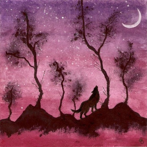 laekoa:  ☮nature, vintage, hippie blog☮ following back similar 