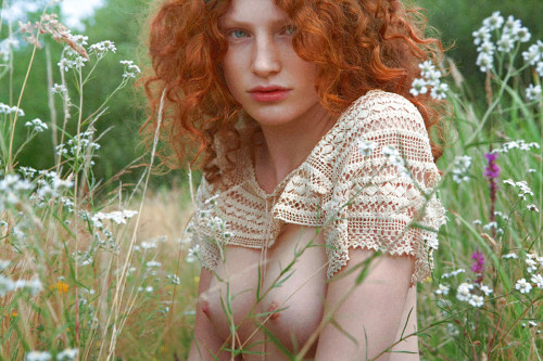 dionysian-light - Dionysian~Light