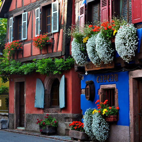 Lovely houses in Niedermorschwihr, Alsace, France (by Michele).