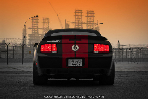 Pure Muscle