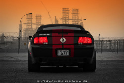 Pure Muscle
