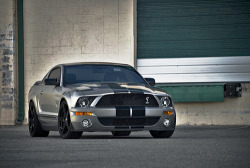 Pure Muscle