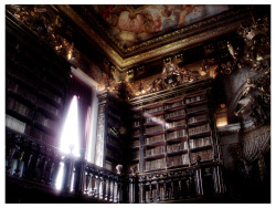 ryandonato:  The Baroque library Biblioteca