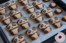 gastrogirl:  panda cookies. 